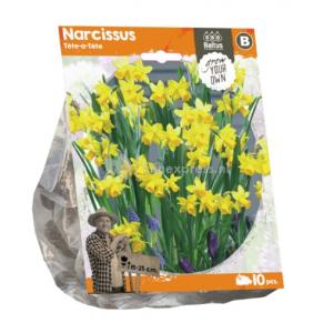 Baltus Narcissus Tete a Tete bloembollen per 10 stuks